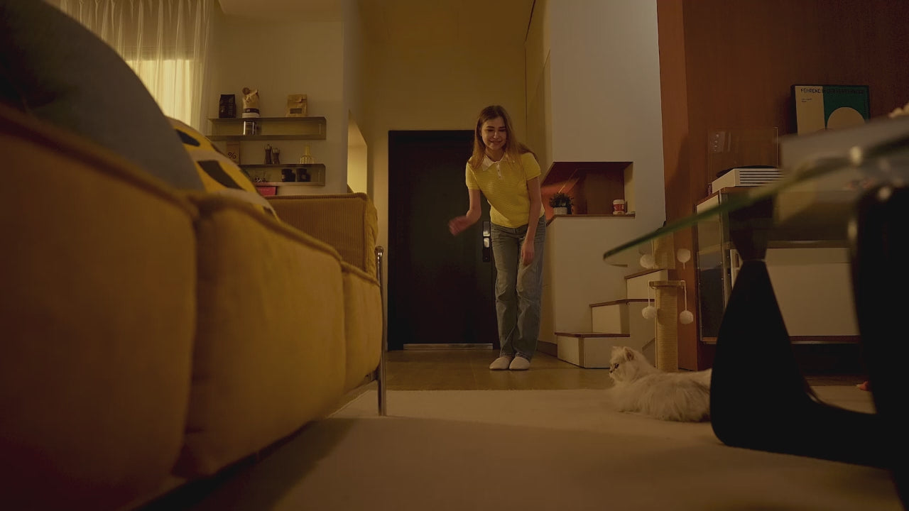 Load video: Proscenic P15 Cordless Vacuum Official Video